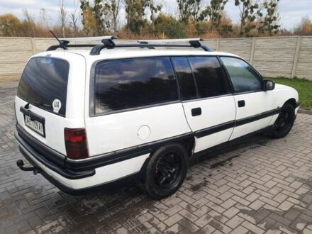 Опель Омега 1993 у Луцьку на Automoto.ua Білий Опель Омега, об'ємом двигуна 2 л та пробігом 245 тис. км за 800 $, фото 1 на Automoto.ua