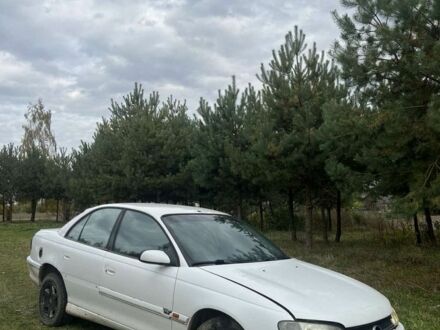 Опель Омега 1995 в Владимир-Волынский на Automoto.ua Белый Опель Омега, объемом двигателя 2 л и пробегом 200 тыс. км за 1400 $, фото 1 на Automoto.ua