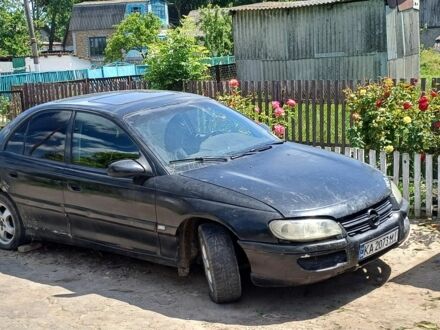 Опель Омега 1995 в Шепетовке на Automoto.ua Черный Опель Омега, объемом двигателя 2 л и пробегом 240 тыс. км за 1650 $, фото 1 на Automoto.ua