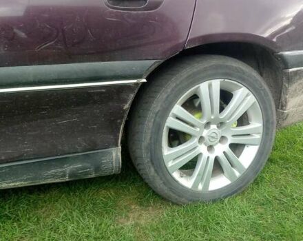 Опель Омега 1994 в Луцке на Automoto.ua Фиолетовый Опель Омега, объемом двигателя 2 л и пробегом 370 тыс. км за 1100 $, фото 14 на Automoto.ua