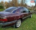 Опель Омега 1997 в Старая Выжевка на Automoto.ua Красный Опель Омега, объемом двигателя 2 л и пробегом 330 тыс. км за 2000 $, фото 3 на Automoto.ua