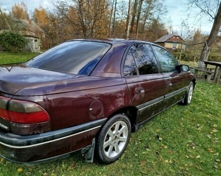 Опель Омега 1997 в Луцке на Automoto.ua Красный Опель Омега, объемом двигателя 2 л и пробегом 334 тыс. км за 2000 $, фото 3 на Automoto.ua