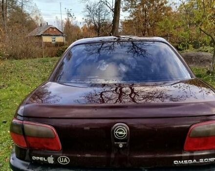 Опель Омега 1997 в Старая Выжевка на Automoto.ua Красный Опель Омега, объемом двигателя 2 л и пробегом 330 тыс. км за 2000 $, фото 10 на Automoto.ua