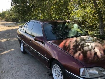 Опель Омега 1992 у Новом Буге на Automoto.ua Червоний Опель Омега, об'ємом двигуна 2.6 л та пробігом 242 тис. км за 1500 $, фото 1 на Automoto.ua
