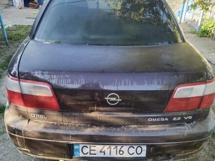 Опель Омега 2000 в Черновцах на Automoto.ua Красный Опель Омега, объемом двигателя 2.2 л и пробегом 401 тыс. км за 3500 $, фото 1 на Automoto.ua