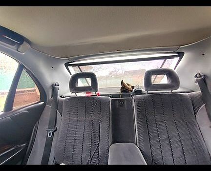 Опель Омега, об'ємом двигуна 2 л та пробігом 320 тис. км за 2800 $, фото 5 на Automoto.ua