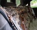 Серый Опель Омега, объемом двигателя 2 л и пробегом 600 тыс. км за 1000 $, фото 4 на Automoto.ua