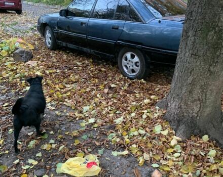 Синій Опель Омега, об'ємом двигуна 2 л та пробігом 400 тис. км за 699 $, фото 2 на Automoto.ua