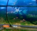 Зеленый Опель Омега, объемом двигателя 2 л и пробегом 363 тыс. км за 1800 $, фото 7 на Automoto.ua