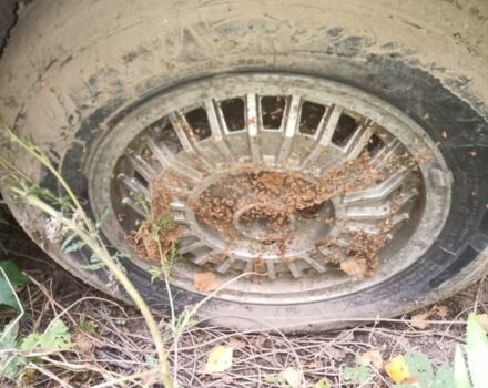 Червоний Опель Рекорд, об'ємом двигуна 2 л та пробігом 43 тис. км за 594 $, фото 7 на Automoto.ua