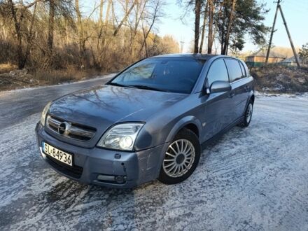 Серый Опель Сигнум, объемом двигателя 1.9 л и пробегом 333 тыс. км за 2350 $, фото 1 на Automoto.ua