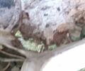 Білий Опель Спідстер, об'ємом двигуна 0 л та пробігом 100 тис. км за 23000 $, фото 2 на Automoto.ua