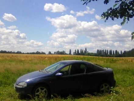 Опель Тігра 1997 у Малине на Automoto.ua Синій Опель Тігра, об'ємом двигуна 1.4 л та пробігом 1000 тис. км за 3365 $, фото 1 на Automoto.ua