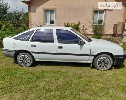 Опель Вектра 1989 в Стрые на Automoto.ua Белый Опель Вектра, объемом двигателя 1.6 л и пробегом 253 тыс. км за 1150 $, фото 1 на Automoto.ua