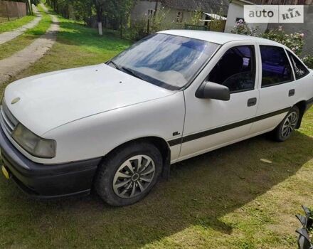 Опель Вектра 1989 в Стрые на Automoto.ua Белый Опель Вектра, объемом двигателя 1.6 л и пробегом 253 тыс. км за 1150 $, фото 2 на Automoto.ua