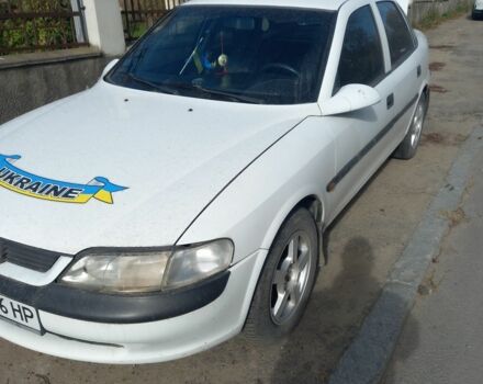 Опель Вектра 1998 у Чернівцях на Automoto.ua Білий Опель Вектра, об'ємом двигуна 1.6 л та пробігом 450 тис. км за 1650 $, фото 3 на Automoto.ua