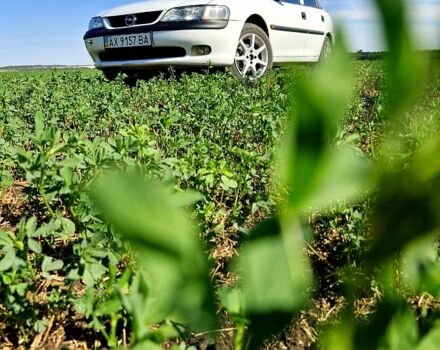 Белый Опель Вектра, объемом двигателя 1.8 л и пробегом 375 тыс. км за 1900 $, фото 1 на Automoto.ua