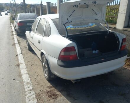 Опель Вектра 1998 у Чернівцях на Automoto.ua Білий Опель Вектра, об'ємом двигуна 1.6 л та пробігом 450 тис. км за 1650 $, фото 4 на Automoto.ua