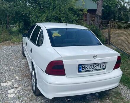 Опель Вектра 1999 в Гусятине на Automoto.ua Белый Опель Вектра, объемом двигателя 1.8 л и пробегом 280 тыс. км за 2400 $, фото 3 на Automoto.ua
