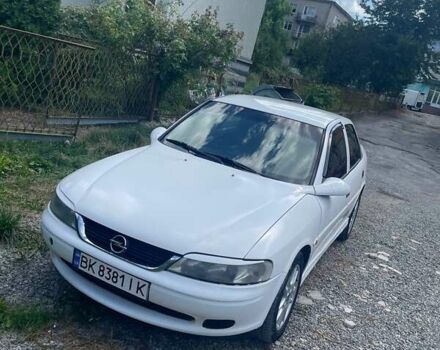 Опель Вектра 1999 в Гусятине на Automoto.ua Белый Опель Вектра, объемом двигателя 1.8 л и пробегом 280 тыс. км за 2400 $, фото 5 на Automoto.ua