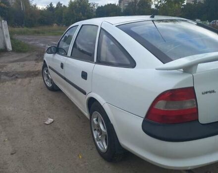 Опель Вектра 1996 в Львове на Automoto.ua Белый Опель Вектра, объемом двигателя 1.6 л и пробегом 294 тыс. км за 2200 $, фото 5 на Automoto.ua