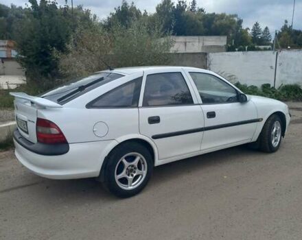 Опель Вектра 1996 в Львове на Automoto.ua Белый Опель Вектра, объемом двигателя 1.6 л и пробегом 294 тыс. км за 2200 $, фото 11 на Automoto.ua