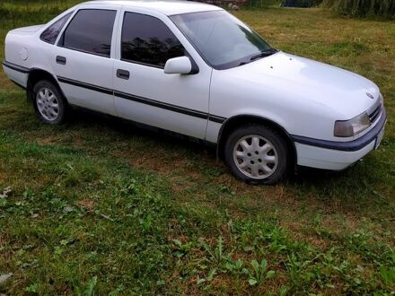 Опель Вектра 1989 в Коломые на Automoto.ua Белый Опель Вектра, объемом двигателя 1.6 л и пробегом 238 тыс. км за 1100 $, фото 1 на Automoto.ua
