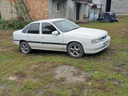 Белый Опель Вектра, объемом двигателя 1.6 л и пробегом 290 тыс. км за 1100 $, фото 1 на Automoto.ua
