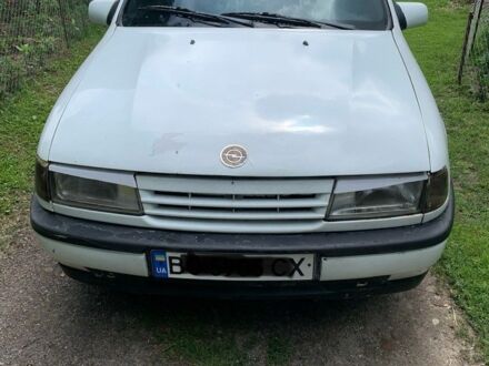 Опель Вектра 1990 у Кременце на Automoto.ua Білий Опель Вектра, об'ємом двигуна 1.6 л та пробігом 2 тис. км за 721 $, фото 1 на Automoto.ua