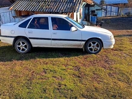 Опель Вектра 1990 в Мостисках на Automoto.ua Белый Опель Вектра, объемом двигателя 1.6 л и пробегом 227 тыс. км за 1350 $, фото 1 на Automoto.ua