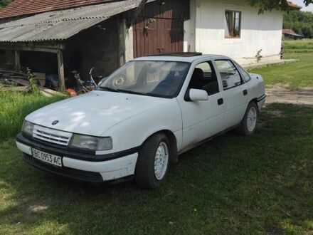 Опель Вектра 1992 в Коломые на Automoto.ua Белый Опель Вектра, объемом двигателя 0 л и пробегом 250 тыс. км за 1100 $, фото 1 на Automoto.ua