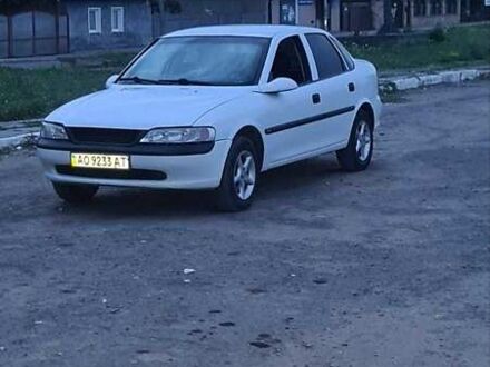 Опель Вектра 1996 в Хусте на Automoto.ua Белый Опель Вектра, объемом двигателя 1.8 л и пробегом 200 тыс. км за 2600 $, фото 1 на Automoto.ua