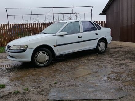 Белый Опель Вектра, объемом двигателя 2 л и пробегом 111 тыс. км за 1750 $, фото 1 на Automoto.ua