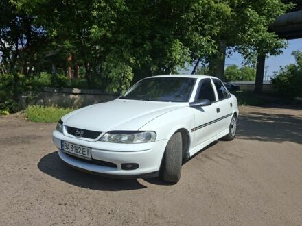 Опель Вектра 1998 в Черкассах на Automoto.ua Белый Опель Вектра, объемом двигателя 1.8 л и пробегом 230 тыс. км за 2450 $, фото 1 на Automoto.ua
