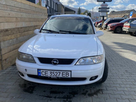 Опель Вектра 1998 в Вижнице на Automoto.ua Белый Опель Вектра, объемом двигателя 2 л и пробегом 420 тыс. км за 2000 $, фото 1 на Automoto.ua