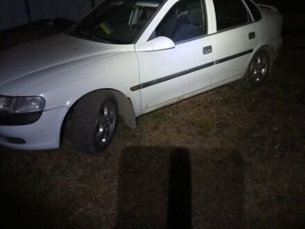 Белый Опель Вектра, объемом двигателя 1.8 л и пробегом 320 тыс. км за 2000 $, фото 1 на Automoto.ua