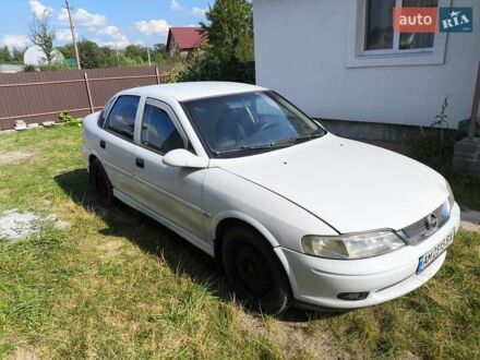 Опель Вектра 2001 в Житомире на Automoto.ua Белый Опель Вектра, объемом двигателя 1.8 л и пробегом 400 тыс. км за 2700 $, фото 1 на Automoto.ua