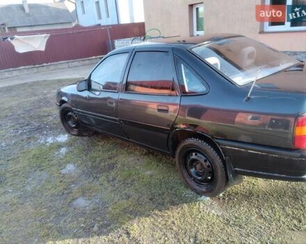 Опель Вектра 1990 в Самборе на Automoto.ua Черный Опель Вектра, объемом двигателя 0 л и пробегом 230 тыс. км за 1300 $, фото 2 на Automoto.ua