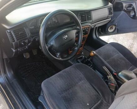 Опель Вектра 1998 в Львове на Automoto.ua Черный Опель Вектра, объемом двигателя 2 л и пробегом 416 тыс. км за 2000 $, фото 10 на Automoto.ua