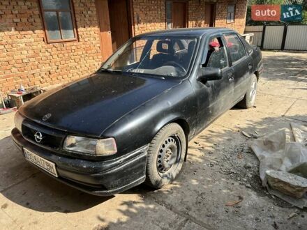 Опель Вектра 1993 в Черткове на Automoto.ua Черный Опель Вектра, объемом двигателя 1.6 л и пробегом 217 тыс. км за 900 $, фото 1 на Automoto.ua