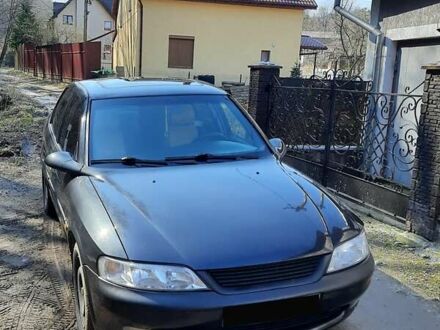Опель Вектра 1996 у Львові на Automoto.ua Чорний Опель Вектра, об'ємом двигуна 1.6 л та пробігом 278 тис. км за 2500 $, фото 1 на Automoto.ua