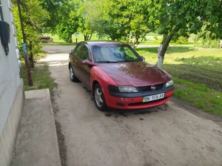 Опель Вектра 1998 у Дубно на Automoto.ua Чорний Опель Вектра, об'ємом двигуна 0 л та пробігом 999 тис. км за 1500 $, фото 1 на Automoto.ua