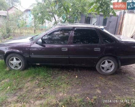 Фиолетовый Опель Вектра, объемом двигателя 2 л и пробегом 305 тыс. км за 900 $, фото 1 на Automoto.ua
