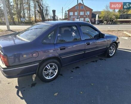 Фіолетовий Опель Вектра, об'ємом двигуна 1.6 л та пробігом 259 тис. км за 1650 $, фото 2 на Automoto.ua