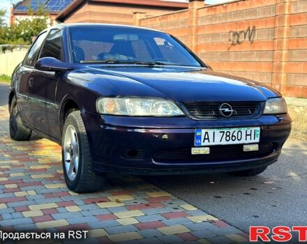 Фиолетовый Опель Вектра, объемом двигателя 1.6 л и пробегом 300 тыс. км за 1500 $, фото 2 на Automoto.ua