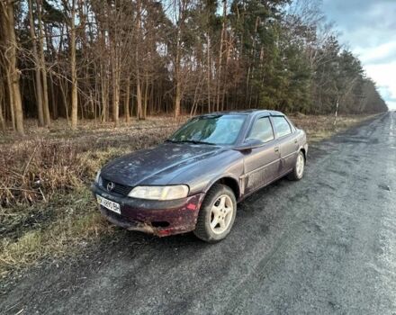 Фіолетовий Опель Вектра, об'ємом двигуна 1.6 л та пробігом 3 тис. км за 1500 $, фото 3 на Automoto.ua