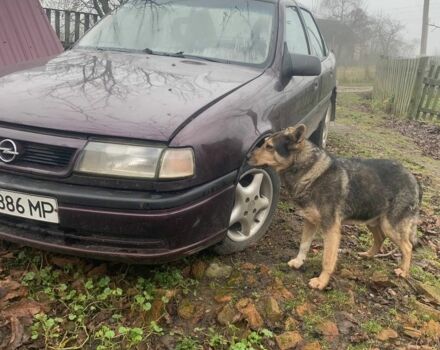 Фіолетовий Опель Вектра, об'ємом двигуна 1.6 л та пробігом 286 тис. км за 900 $, фото 6 на Automoto.ua
