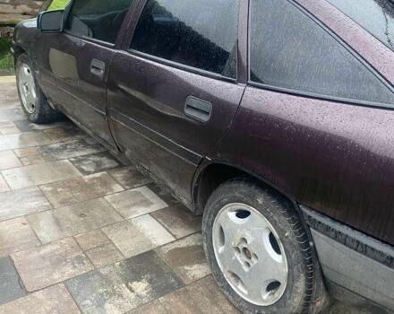 Опель Вектра 1990 в Львове на Automoto.ua Фиолетовый Опель Вектра, объемом двигателя 2 л и пробегом 190 тыс. км за 1000 $, фото 2 на Automoto.ua