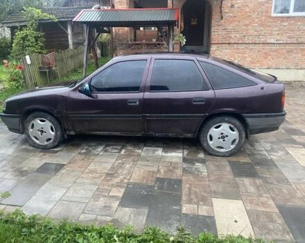 Опель Вектра 1990 в Львове на Automoto.ua Фиолетовый Опель Вектра, объемом двигателя 2 л и пробегом 190 тыс. км за 1000 $, фото 3 на Automoto.ua