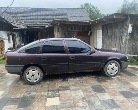 Опель Вектра 1990 в Львове на Automoto.ua Фиолетовый Опель Вектра, объемом двигателя 2 л и пробегом 190 тыс. км за 1000 $, фото 4 на Automoto.ua